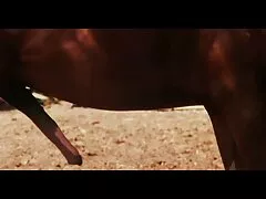 Blowjob phim sex vụng trôm chuyên nghiệp