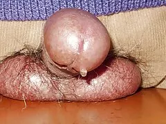 Bốn cô gái hoang phim sex vũ trường dã
